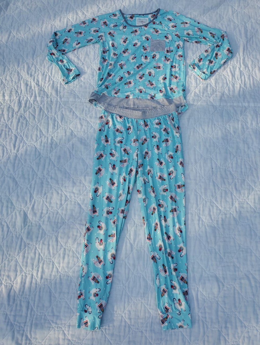 Cuddl Duds Light Blue Llama Print Pajama Set